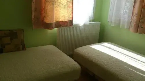 Nyírfa19