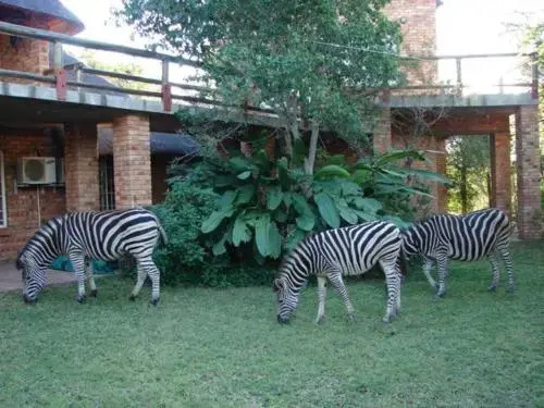 Marloth Lodge