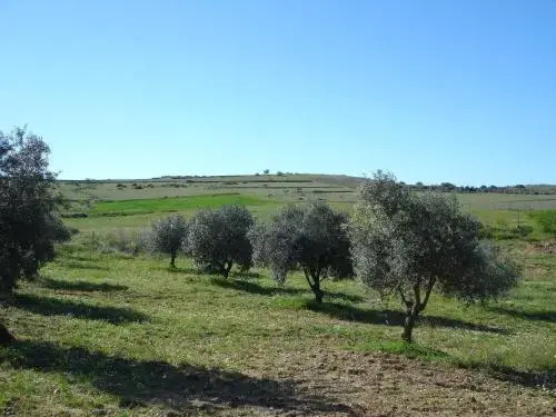 Horta do Muro
