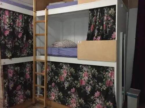 Ideal Hostel Madrid