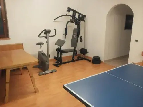 Cesa Sara