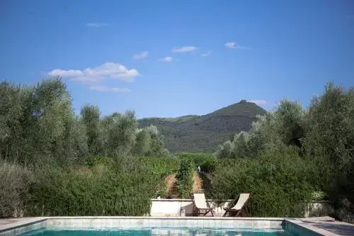 Agriturismo Tra gli Ulivi, Chiappini Winery