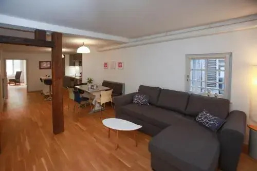 Appartements des 2 Têtes