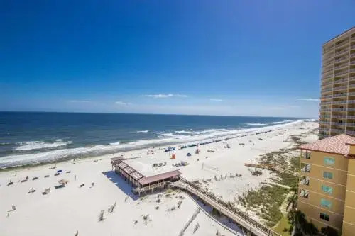 Boardwalk 1082 by Youngs Suncoast
