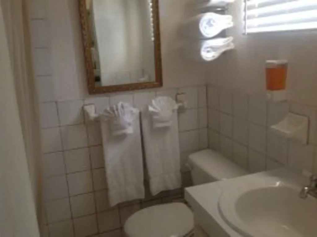 Tropical Dreams Rentals