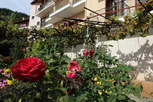 Boutique Hotel Parnassia