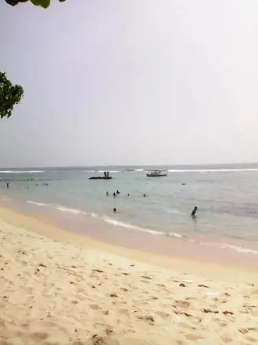 Gami Gedara