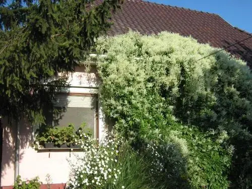 Árnyas Vendégház
