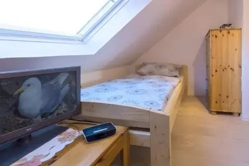 Ferienhaus Mole