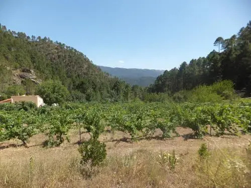 Río Mundo Alojamiento Rural