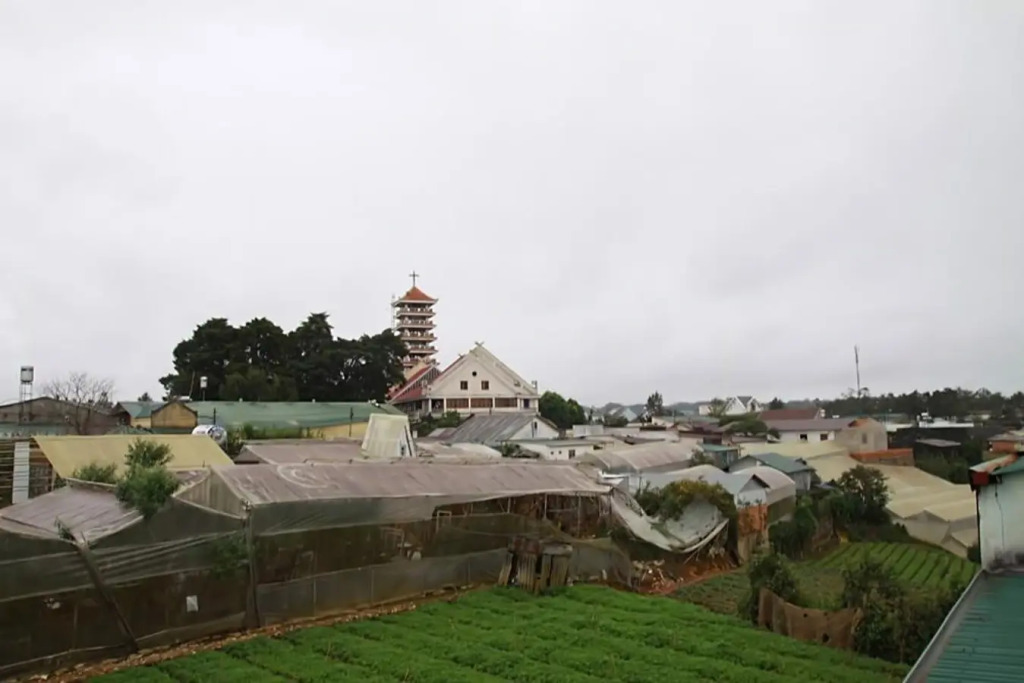 Vivian's House