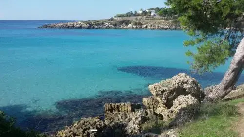 B&B Salento Beach