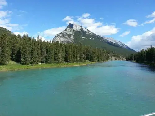 Banff Bear Bed & Breakfast