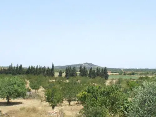Es Lladoner Villa