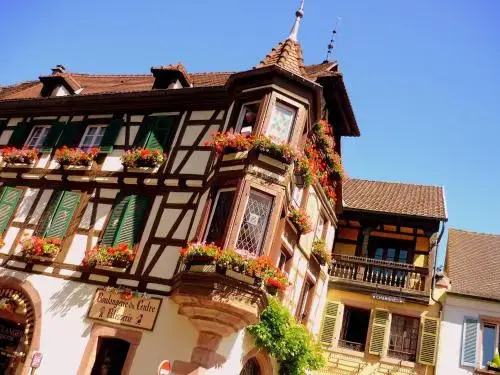 Appartement Le 1532