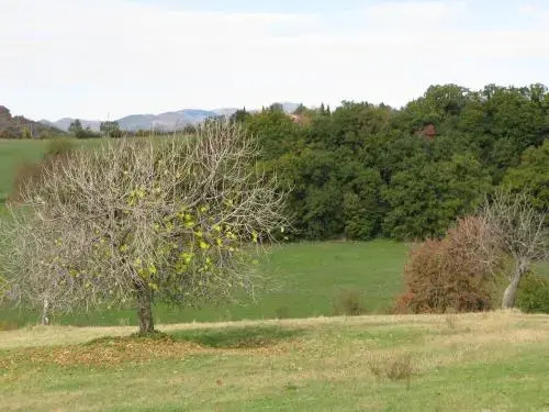 Casale Ferronio