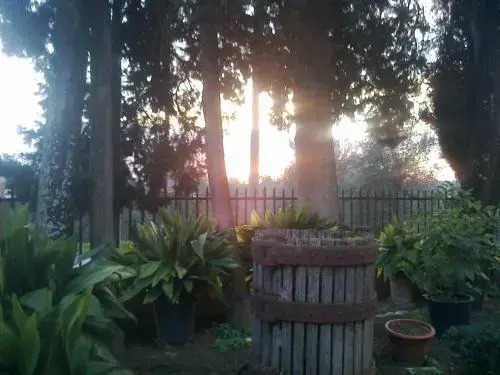 Villa I Leoni