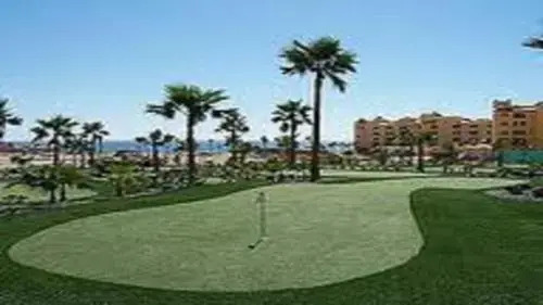 Sandy Beach C501