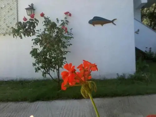 Studios Kofos Limin