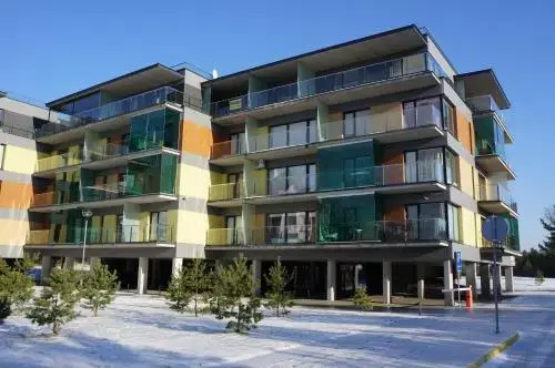 Rūta