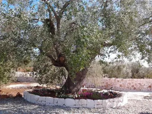 Trulli & Grotte Exclusive House