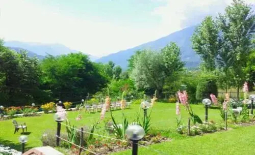 Forest Hill Resorts