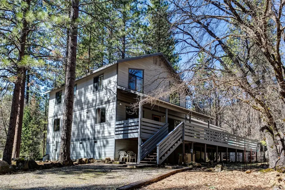 Cabin Among the Firs