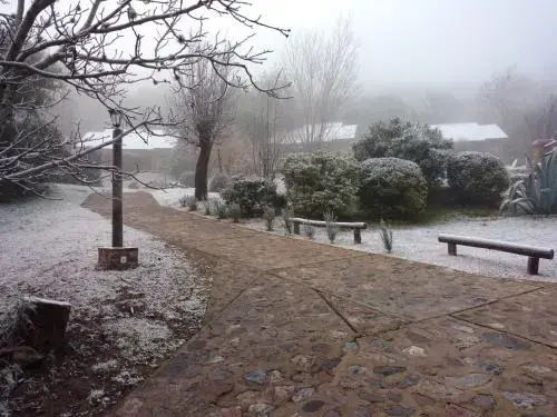 Los Cerezos