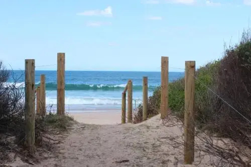 Boardies at the Bay