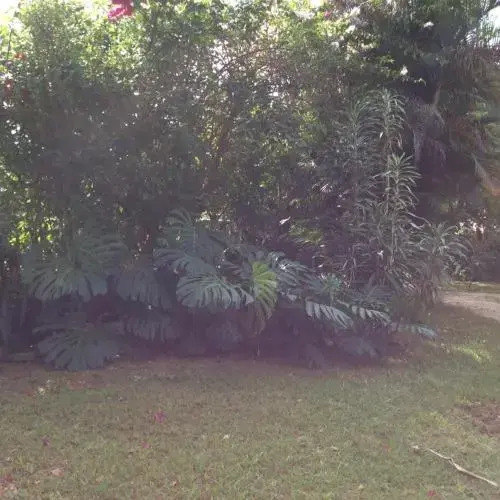 Hostel Chapada Veadeiros