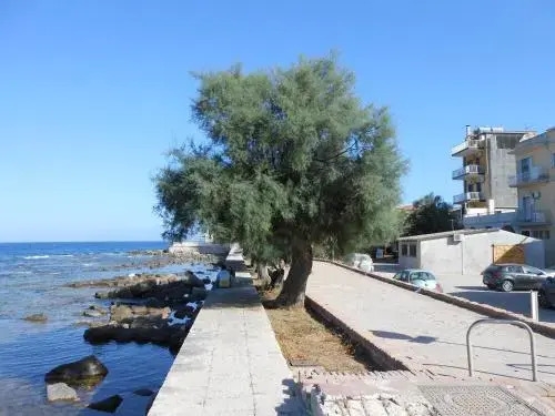 Il Gabbiano