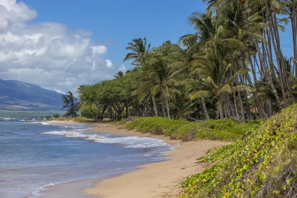 Waiohuli Beach Hale #D-118