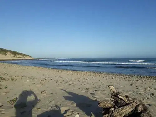 204 on Panorama