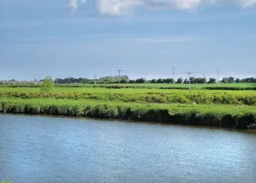 Sun Valley Caravan Park, Rhuddlan Rhyl LL18 5UD