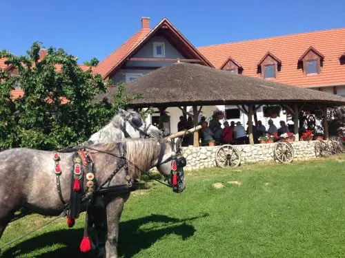 Lóbarát Panzió
