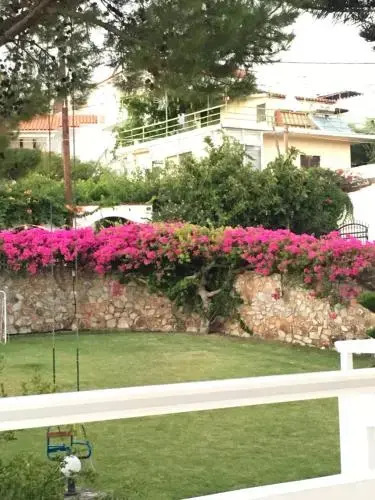Costmari