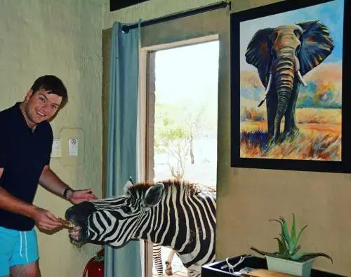 Croc Orvylls Kruger Lodge, Close to Kruger National Park we are popular for Free roaming wildlife