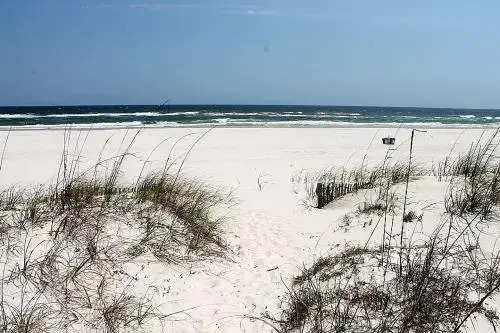 A License to Chill Unit A  -  5Br Home
