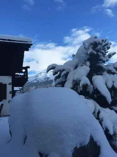 Chalet Annika