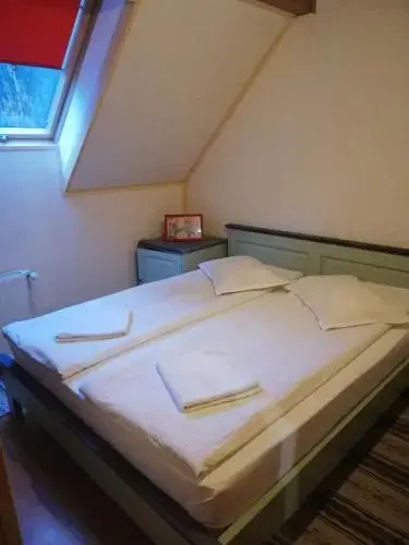 Pensiunea Vanatorul