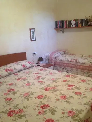 B&B Chorisia