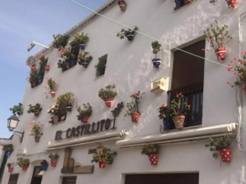 Arena Hostel Boutique