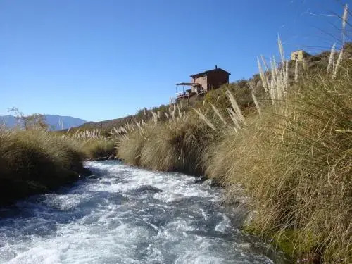 Las Margaritas