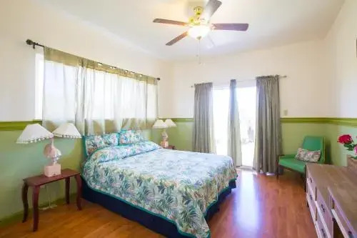Coconut Palms Vacation Rental near lava fields and beaches