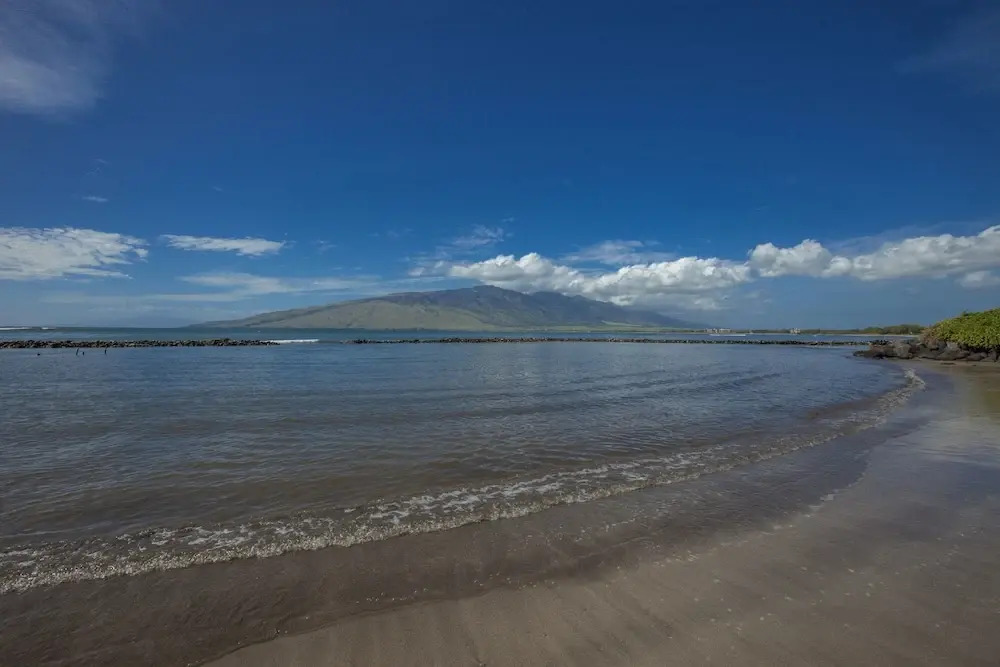 Kihei Bay Surf #144 - Studio Br Condo