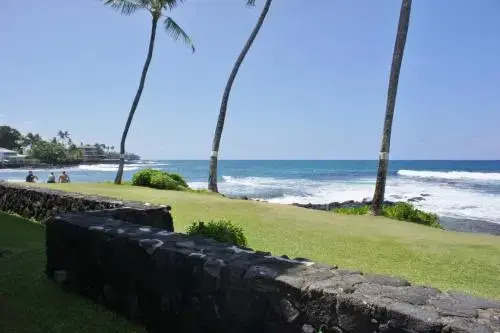 Kona Reef A6