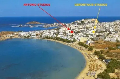 Antonio Studios