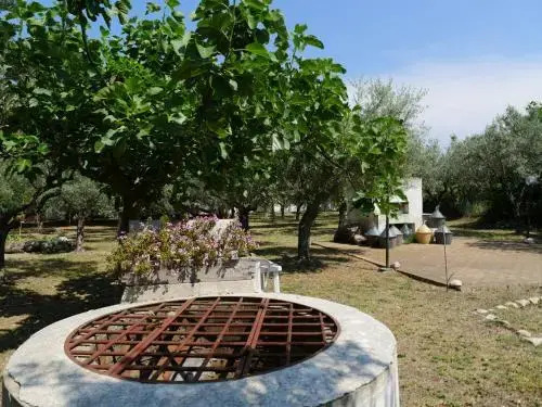 L'Orto dei Giulivi