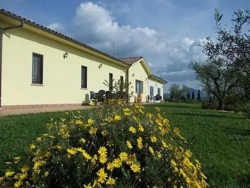 Fior Divino