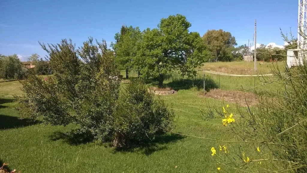 Agriturismo Echi dEtruria